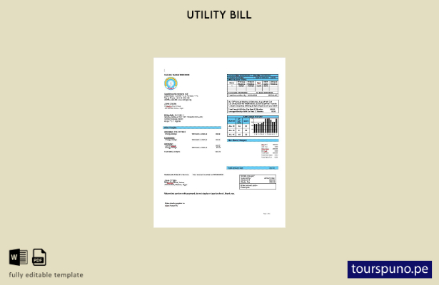 listo para imprimir Nigeria Plantilla de factura de electricidad de la Comisión 